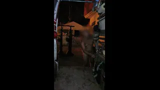 Reto 046 - Desnudo en la calle cargo la furgoneta