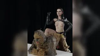 Sith Rey Pegging Chewie