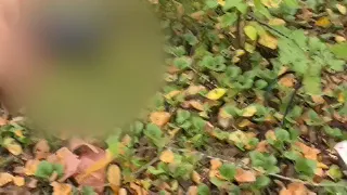 I sucked in the forest out of fear