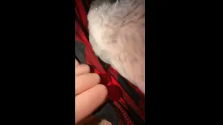 Can I show you more