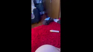 Mi roommate ama follar en cuatro y me pide mi verga fogosa en su coño apretado