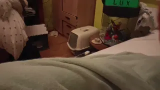 Cute First pov :3