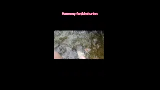 wet, worshipping my feet underwater in public, a natural river