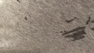 Piss play watersports with bearded Aussie wearing grey sweatpants