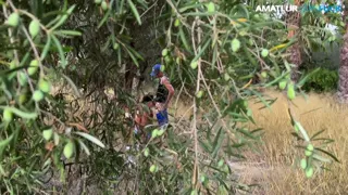 They Tied Him Up at the Cruising Spot, and He Became the Public Toy of the Day!
