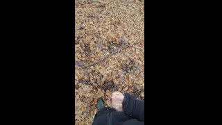 Nature cumshot