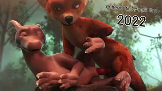 Crittermatic 2022 Compilation