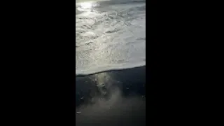 Wanna fuck with u all day long