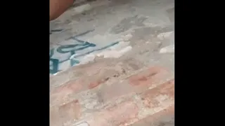 La convenci de ir a ver una casa abandonada y termino en su boca