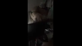 mamada en cuatro de putita