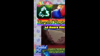 Recycled Pamps: 48 Hours Use
