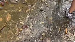 Pido un uber moto y le pido que me lleve a las montañas y luego todo se salio de control no creeras lo que paso